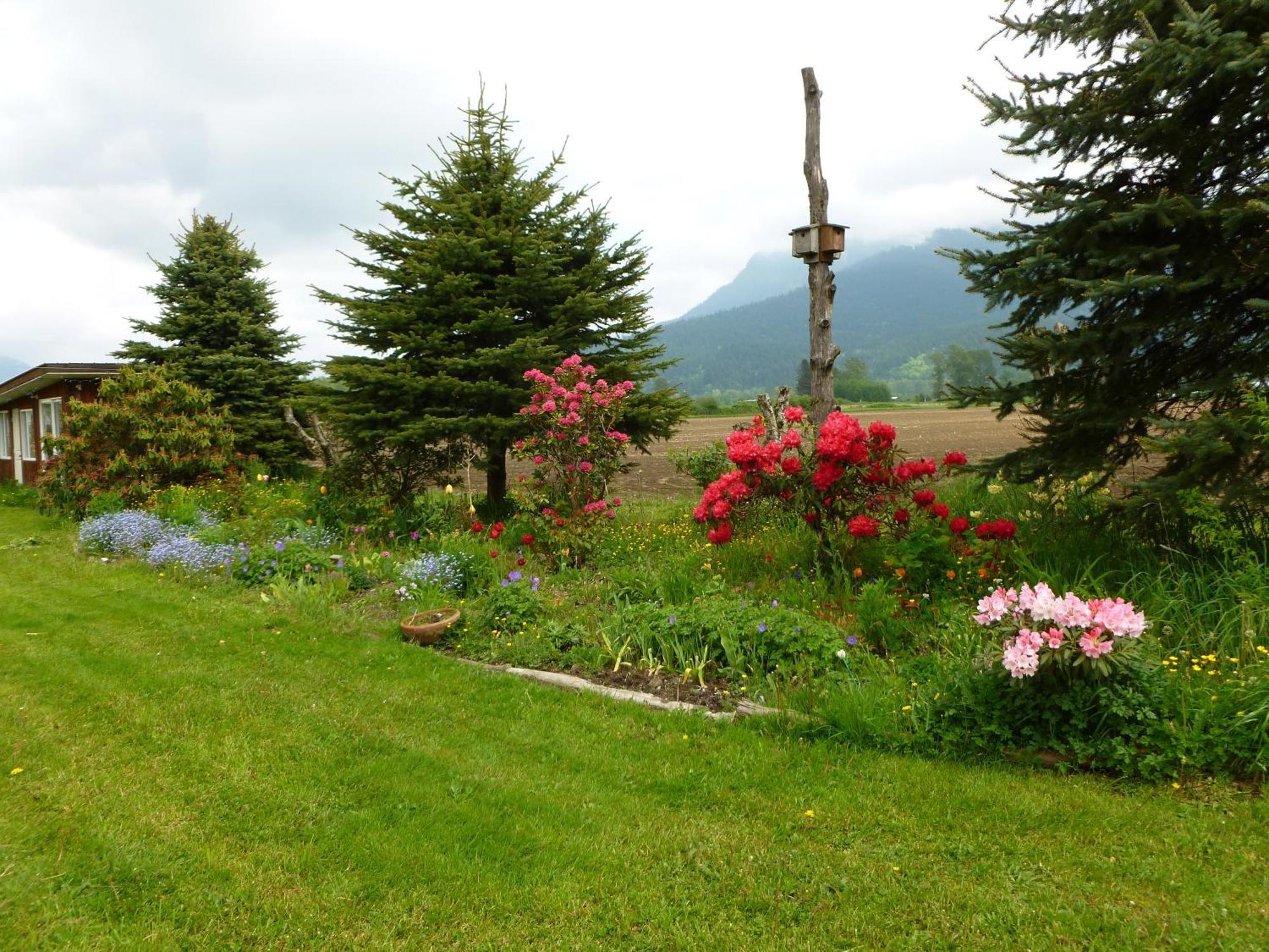 Harrison Hammond House Farmstay Harrison Mills Extérieur photo