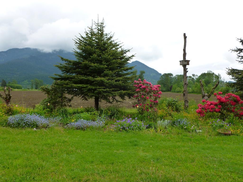 Harrison Hammond House Farmstay Harrison Mills Extérieur photo